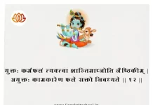 Bhagavad Gita Chapter 5 Shloka 12 | श्रीमद्भगवद्गीता Bhagavad Gita Chapter 5 image