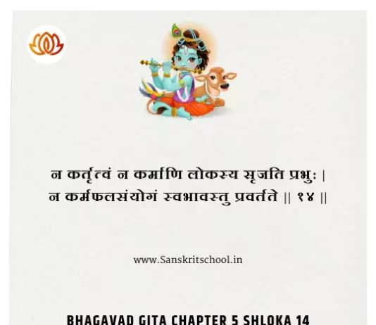Bhagavad Gita Chapter 5 Shloka 14 | श्रीमद्भगवद्गीता Bhagavad Gita Chapter 5 image