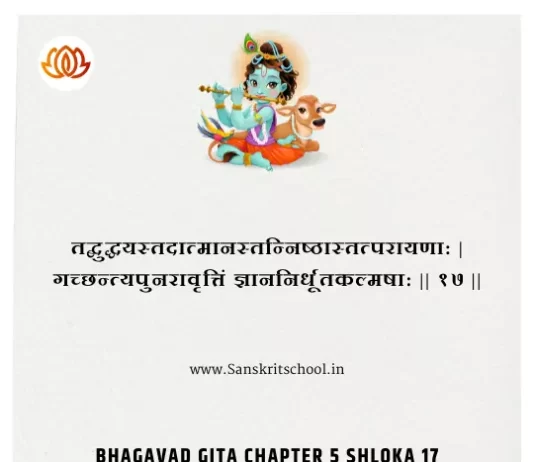 Bhagavad Gita Chapter 5 Shloka 17 | рд╢реНрд░реАрдорджреНрднрдЧрд╡рджреНрдЧреАрддрд╛ Bhagavad Gita Chapter 5 Shloka image