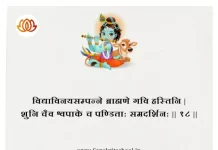 Bhagavad Gita Chapter 5 Shloka 18 | श्रीमद्भगवद्गीता Bhagavad Gita Chapter 5 image