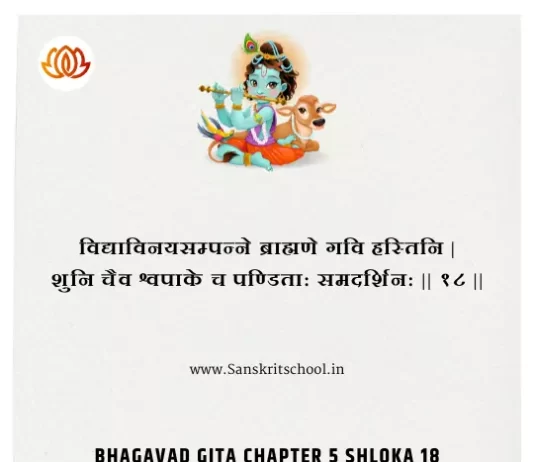 Bhagavad Gita Chapter 5 Shloka 18 | श्रीमद्भगवद्गीता Bhagavad Gita Chapter 5 image
