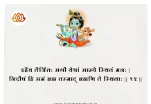 Bhagavad Gita Chapter 5 Shloka 19 | श्रीमद्भगवद्गीता Bhagavad Gita Chapter 5 Shloka image