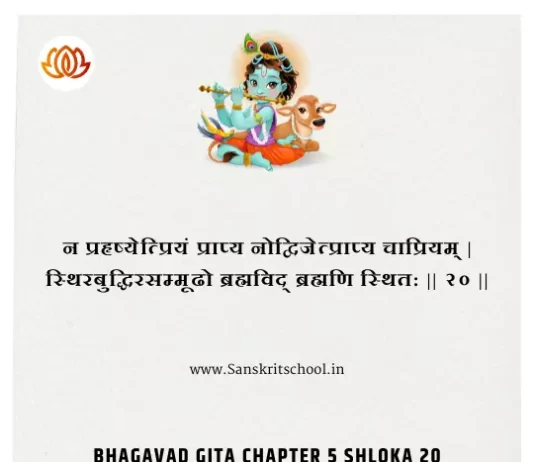 Bhagavad Gita Chapter 5 Shloka 20 | श्रीमद्भगवद्गीता Bhagavad Gita Chapter 5 image