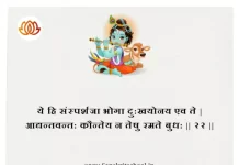 Bhagavad Gita Chapter 5 Shloka 22 | श्रीमद्भगवद्गीता Bhagavad Gita Chapter 5 image