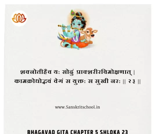 Bhagavad Gita Chapter 5 Shloka 23 | श्रीमद्भगवद्गीता Bhagavad Gita Chapter 5 Shloka image