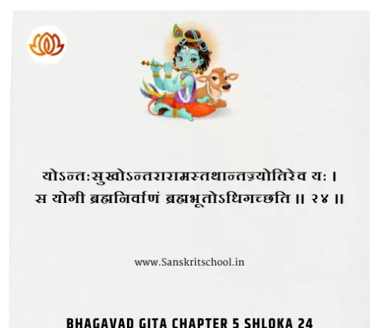 Bhagavad Gita Chapter 5 Shloka 24 | श्रीमद्भगवद्गीता Bhagavad Gita Chapter 5 image