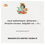 Bhagavad Gita Chapter 5 Shloka 25 | рд╢реНрд░реАрдорджреНрднрдЧрд╡рджреНрдЧреАрддрд╛ Bhagavad Gita Chapter 5 Shloka image