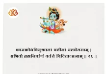 Bhagavad Gita Chapter 5 Shloka 26 | श्रीमद्भगवद्गीता Bhagavad Gita Chapter 5 image