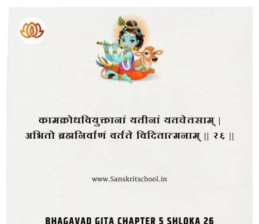 Bhagavad Gita Chapter 5 Shloka 26 | श्रीमद्भगवद्गीता Bhagavad Gita Chapter 5 image
