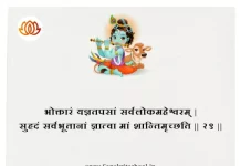 Bhagavad Gita Chapter 5 Shloka 29 | श्रीमद्भगवद्गीता Bhagavad Gita Chapter 5 image