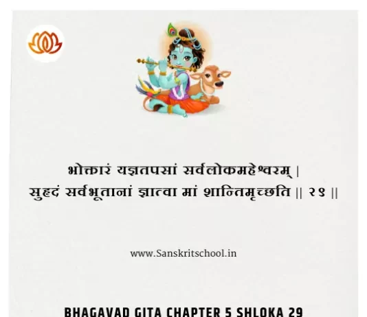 Bhagavad Gita Chapter 5 Shloka 29 | श्रीमद्भगवद्गीता Bhagavad Gita Chapter 5 image