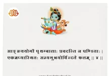 Bhagavad Gita Chapter 5 Shloka 4 | श्रीमद्भगवद्गीता Bhagavad Gita Chapter 5 Shloka image