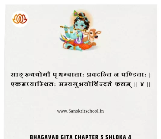 Bhagavad Gita Chapter 5 Shloka 4 | श्रीमद्भगवद्गीता Bhagavad Gita Chapter 5 Shloka image