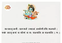 Bhagavad Gita Chapter 5 Shloka 5 | श्रीमद्भगवद्गीता Bhagavad Gita Chapter 5 image