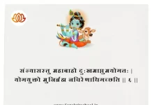 Bhagavad Gita Chapter 5 Shloka 6 | श्रीमद्भगवद्गीता Bhagavad Gita Chapter 5 Shloka image