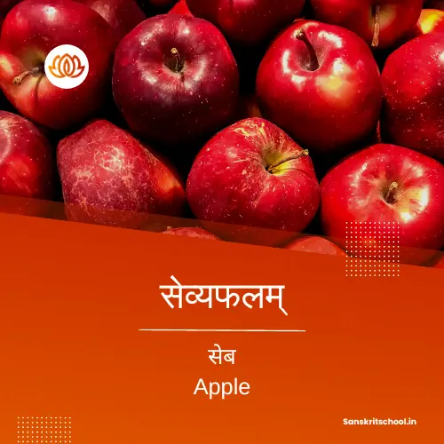 essay on apple in sanskrit