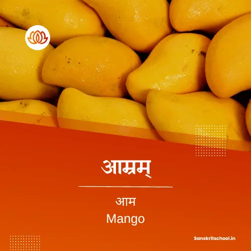 mango essay in sanskrit