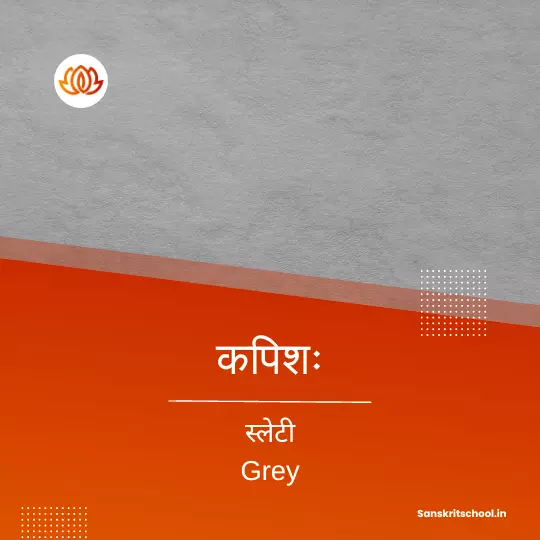 Grey Colour in Sanskrit