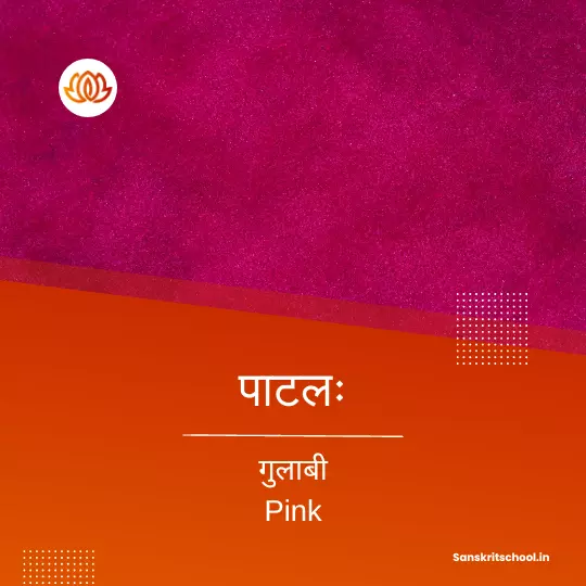 Pink Colour in Sanskrit 