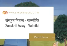 संस्कृत में वाल्मीकि पर निबंध | Sanskrit Essay on Valmiki Sanskrit Essay On Valmiki