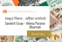 рджрдгреНрдбрд┐рдирдГ рдкрджрд▓рд╛рд▓рд┐рддреНрдпрдореН | Essay on Dandinah Padalalityam in Sanskrit