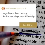 विद्या (विद्यायाः महत्त्वम्) | Essay on Importance of Knowledge in Sanskrit Essay on Importance of Knowledge in Sanskrit
