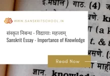 विद्या (विद्यायाः महत्त्वम्) | Essay on Importance of Knowledge in Sanskrit Essay on Importance of Knowledge in Sanskrit