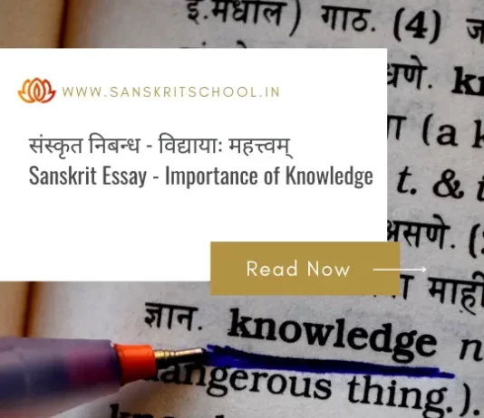 विद्या (विद्यायाः महत्त्वम्) | Essay on Importance of Knowledge in Sanskrit Essay on Importance of Knowledge in Sanskrit