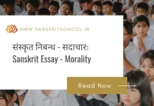सदाचारः | Essay on Morality in Sanskrit Essay on Morality in Sanskrit