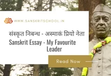 अस्माकं प्रियो नेता | Essay on My Favourite Leader in Sanskrit Essay on My Favourite Leader in Sanskrit