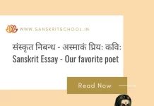 अस्माकं प्रियः कविः | Essay on Our Favorite Poet in Sanskrit Essay on Our Favorite Poet in Sanskrit