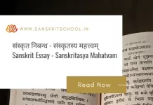 संस्कृतस्य महत्त्वम् | Essay on Importance of Sanskrit Language in Sanskrit Sanskrit Essay on Importance of Sanskrit Language