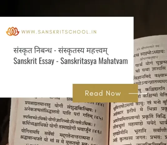 संस्कृतस्य महत्त्वम् | Essay on Importance of Sanskrit Language in Sanskrit Sanskrit Essay on Importance of Sanskrit Language
