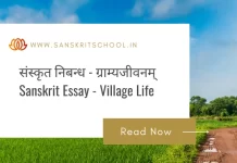 ग्राम्यजीवनम् | Essay on Village Life in Sanskrit Essay on Village Life in Sanskrit