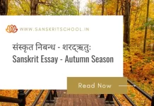 рд╢рд░рджреНрдЛрддреБрдГ | Essay on Autumn Season in Sanskrit Essay on Autumn Season in Sanskrit