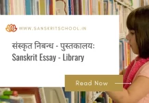 पुस्तकालयः | Essay on Library in Sanskrit Essay on Library in Sanskrit