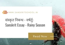 वर्षर्तुः | Essay on Rainy Season in Sanskrit Essay on Rainy Season in Sanskrit