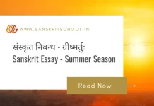 ग्रीष्मर्तुः | Essay on Summer Season in Sanskrit Essay on Summer Season in Sanskrit