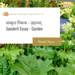 उद्यानम् | Essay on Garden in Sanskrit Essay on Garden in Sanskrit