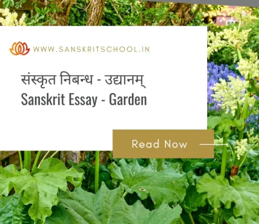 उद्यानम् | Essay on Garden in Sanskrit Essay on Garden in Sanskrit