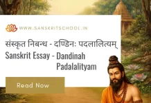 दण्डिनः पदलालित्यम् | Essay on Dandinah Padalalityam in Sanskrit Dandinah Padalalityam